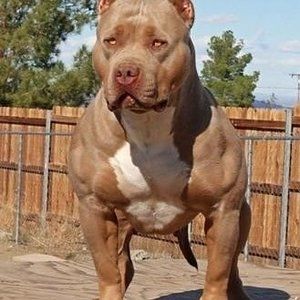 Meet your Posher, Lor